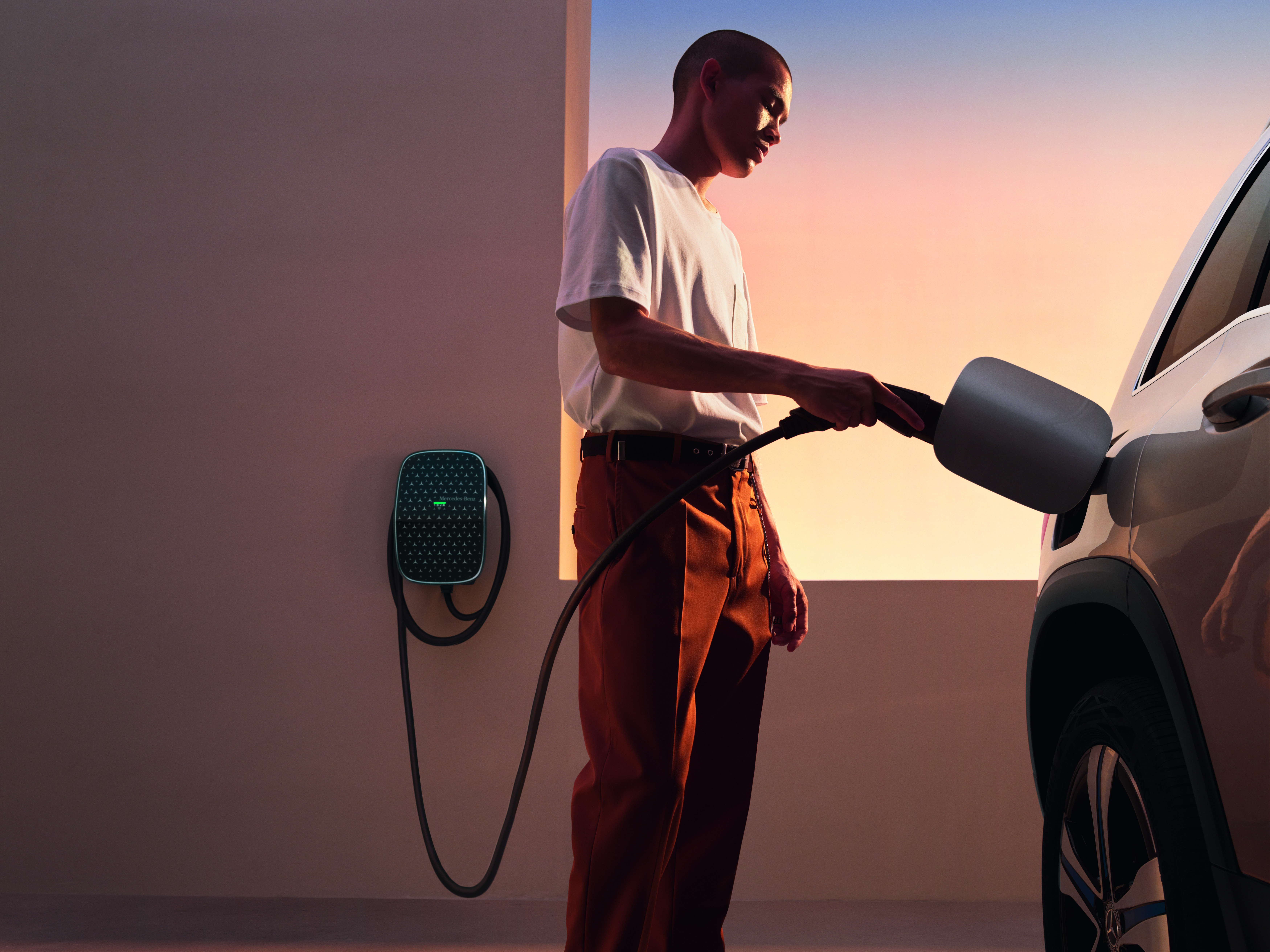 Economía personal Vehículo eléctrico